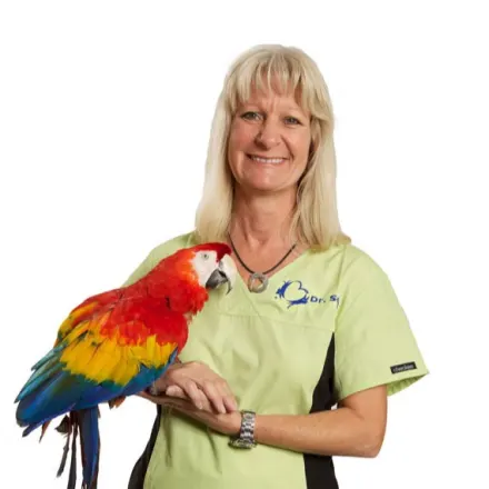 Dr. Robin Scott, DVM at Dickinson Animal Hospital